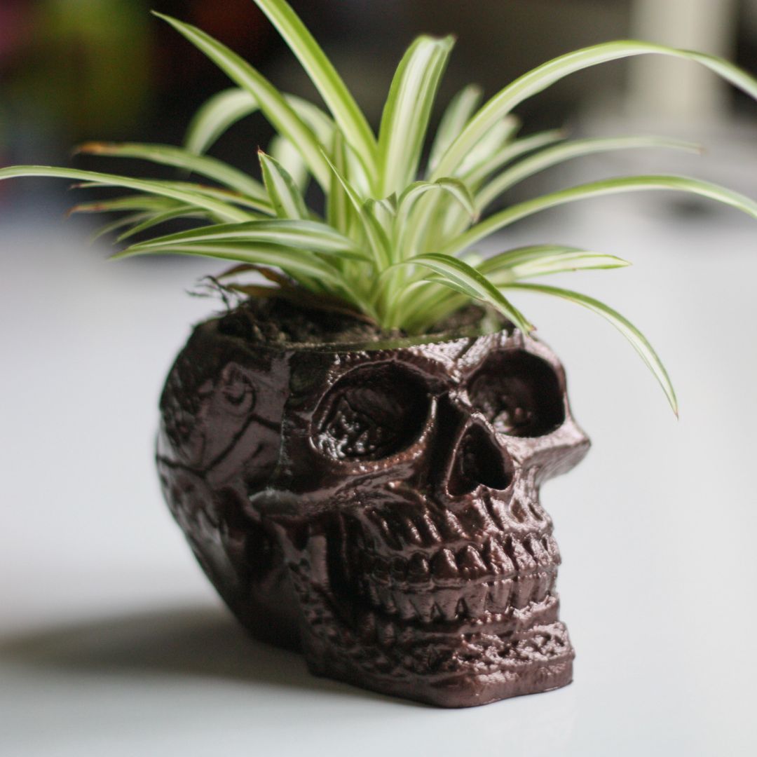 Celtic Skull Flowerpot - Unique Handmade Skull Succulent Planter