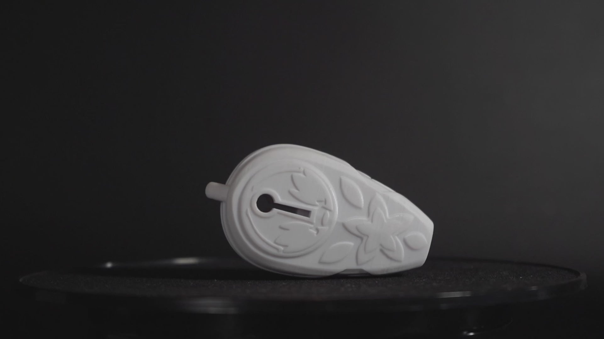 Lyza's White Whistle