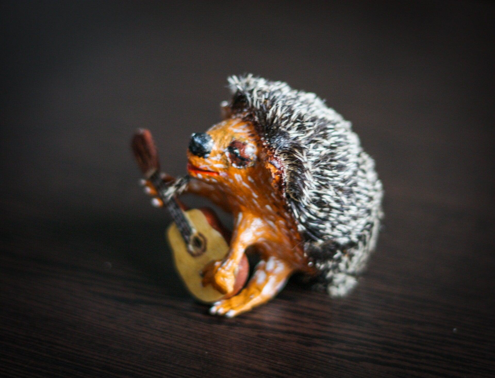 Hedgehog with a guitar ooak art doll - 3DPrintProps