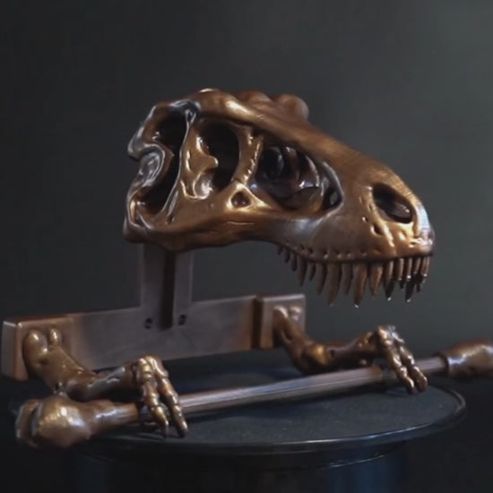 T-Rex Toilet Paper Holder