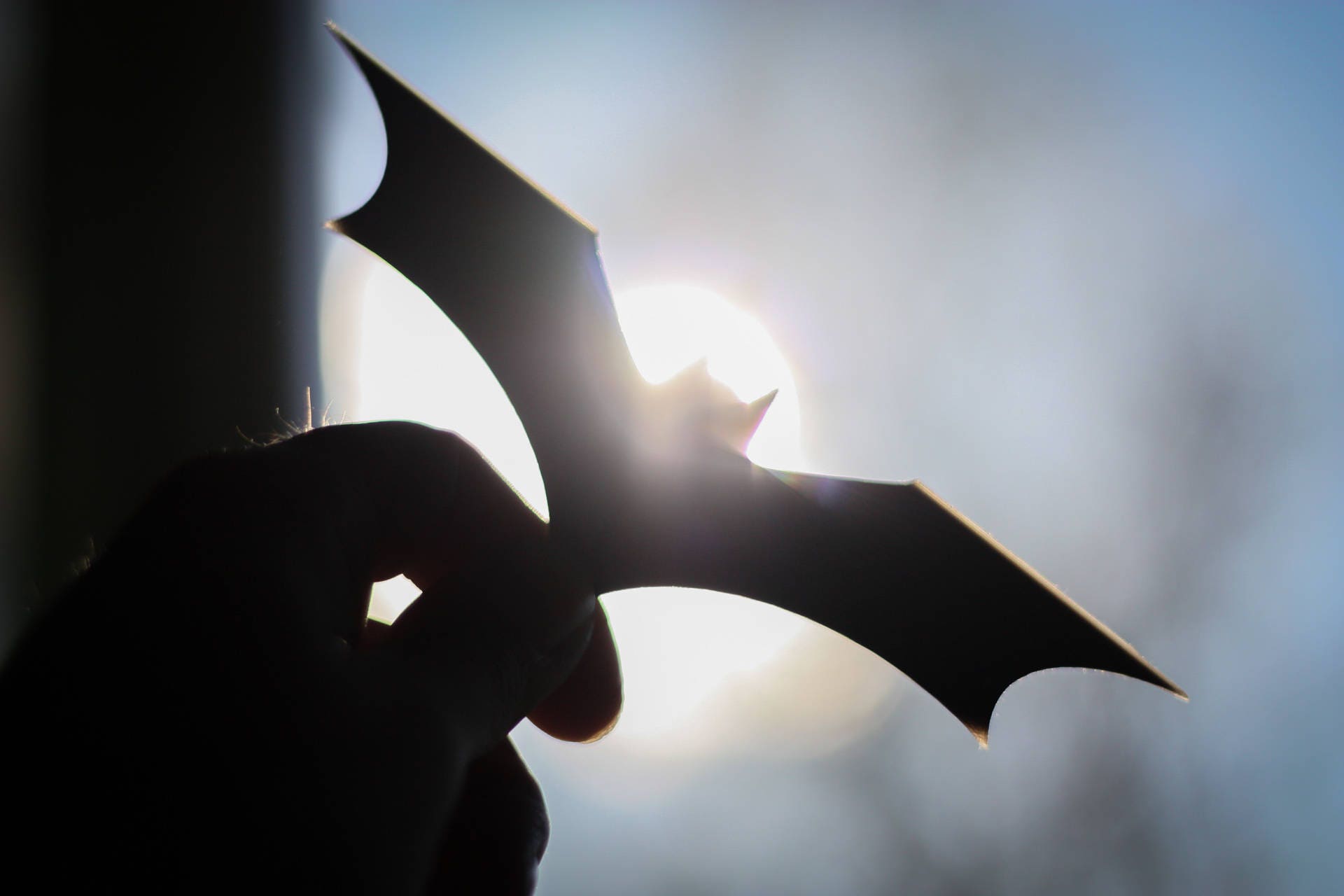 Dark Knight Rises Batarang | Batman Cosplay - 3DPrintProps